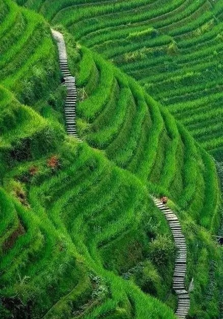 中國園林風水中的布局藝術(shù)