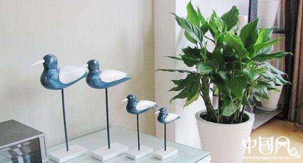 各種室內的植物風水