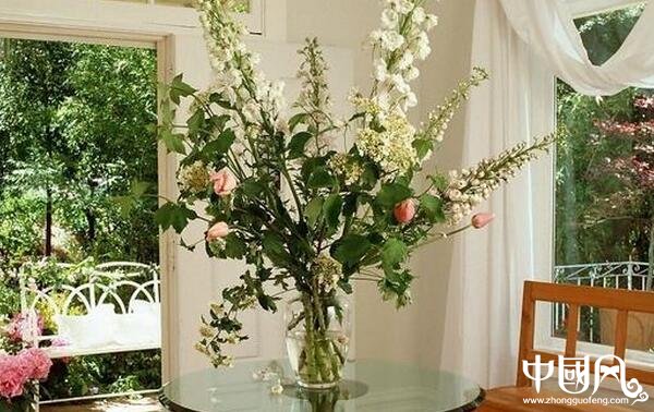 各種室內的植物風水