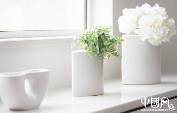 適合家居擺設的植物風水