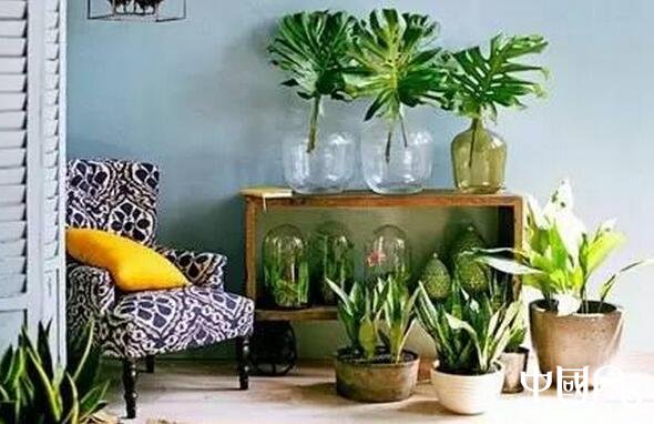 家居陽臺的布置風(fēng)水講究