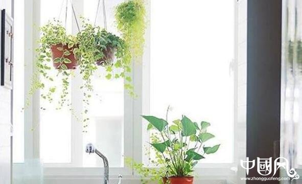 家居中的風水與健康