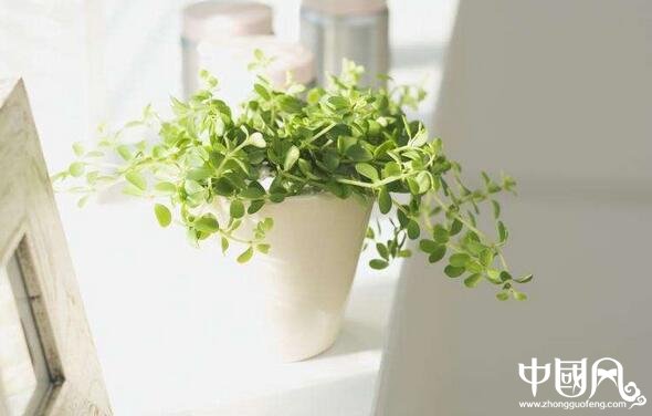 家居中的風水與健康