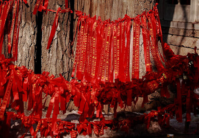 想要招姻緣嗎？風(fēng)水學(xué)來幫你