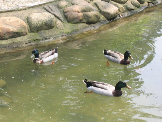 你知道嗎？這些風(fēng)水暗示你會(huì)變小三