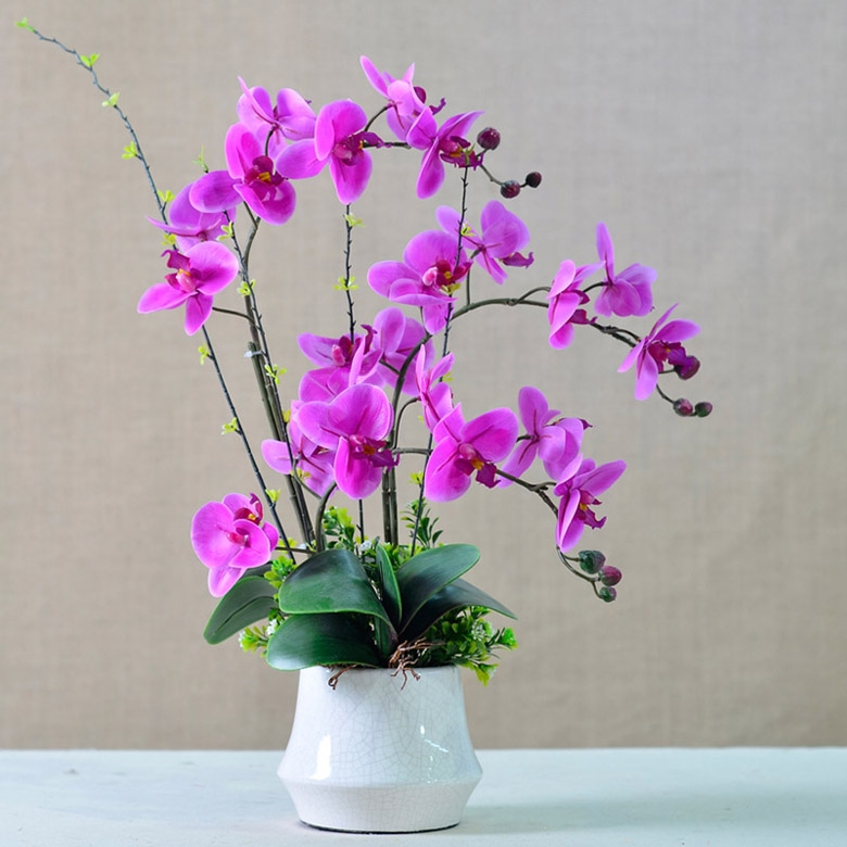 假花也會影響你的感情？？？