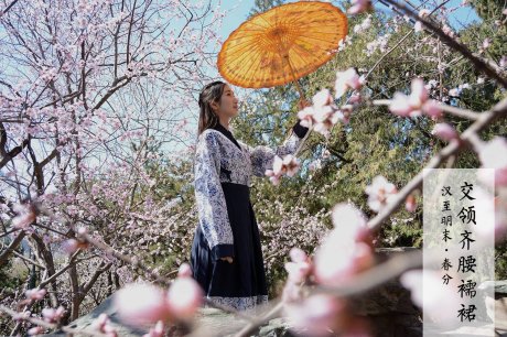 改良漢服，古風交領清新淡雅齊胸襦裙