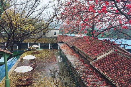 喜臨院，在年月網(wǎng)紅房把珠江江景盡收眼底