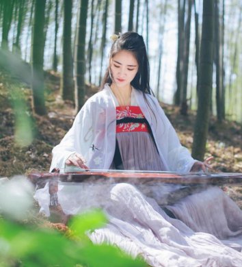 魏晉風(fēng)女裝繡花大袖衫，復(fù)古家佳樂文學(xué)漢服圖片