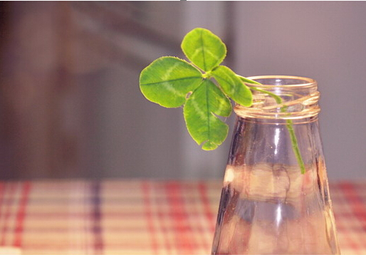 學(xué)習(xí)風(fēng)水學(xué)，生活風(fēng)水禁忌大全送給你