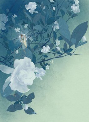 一組唯美古風(fēng)圖片：一人一花一世界！