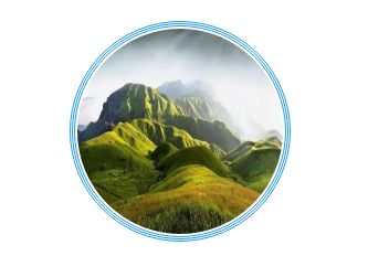 踏青尋色：春光無限好，只為等待一個你