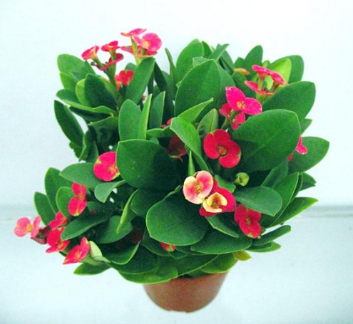 學習風水學，讓你知道哪些風水禁忌不能犯！