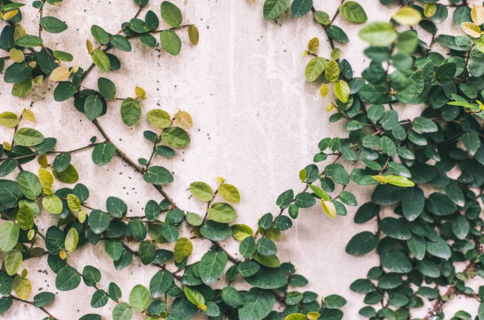 杭州·棲遲，還是那個獨(dú)一無二的黑白灰