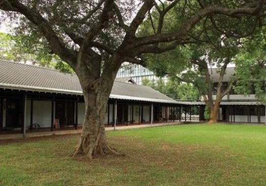 庭院植樹的幾大禁忌，你知道嗎？