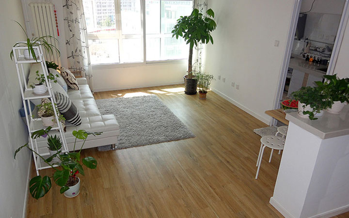 學習風水學，客廳擺放植物風水禁忌全get！