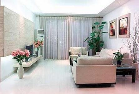 這些客廳植物風(fēng)水禁忌，你一定要知道！