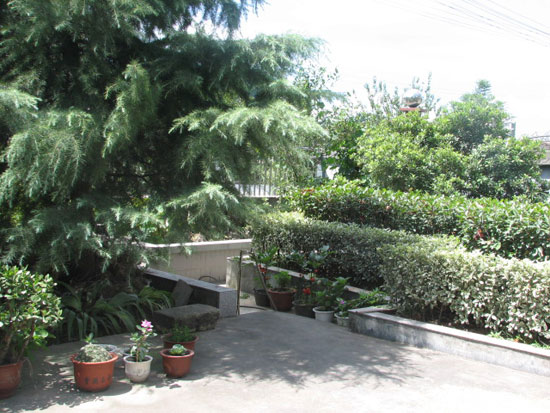 這些庭院種樹(shù)的風(fēng)水禁忌，你知道嗎？