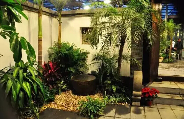 庭院植物風(fēng)水禁忌全get！風(fēng)水學(xué)來(lái)幫你