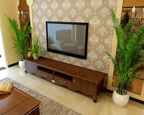 家中植物擺設(shè)風(fēng)水禁忌，你想知道嗎？