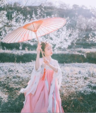 刺繡對襟齊胸襦裙，清新淡雅漢服