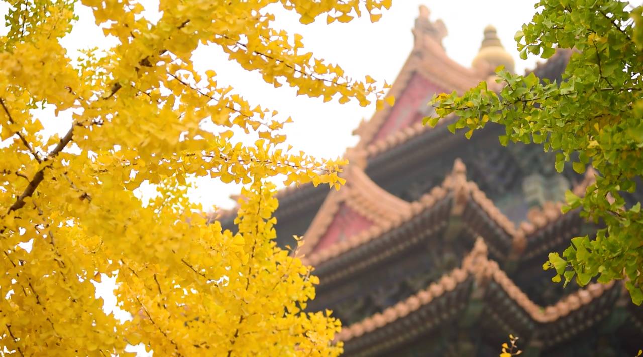 王室故居，坐擁古老神秘的王府豪宅看明清興衰