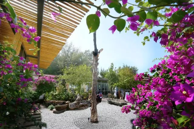 慢點(diǎn)藝術(shù)民宿，世間所有努力都是為了慢點(diǎn)