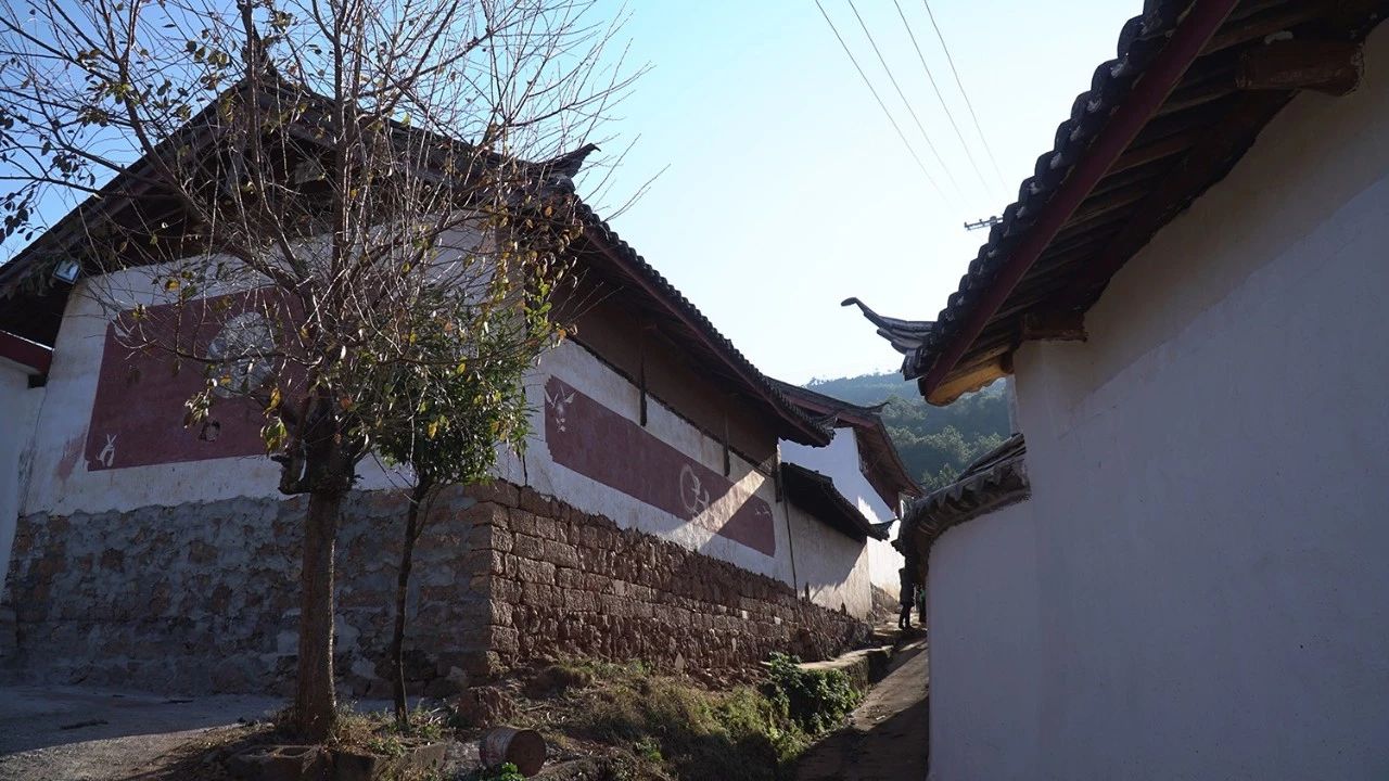 麗江·靈凈山舍，一花一木一世界！