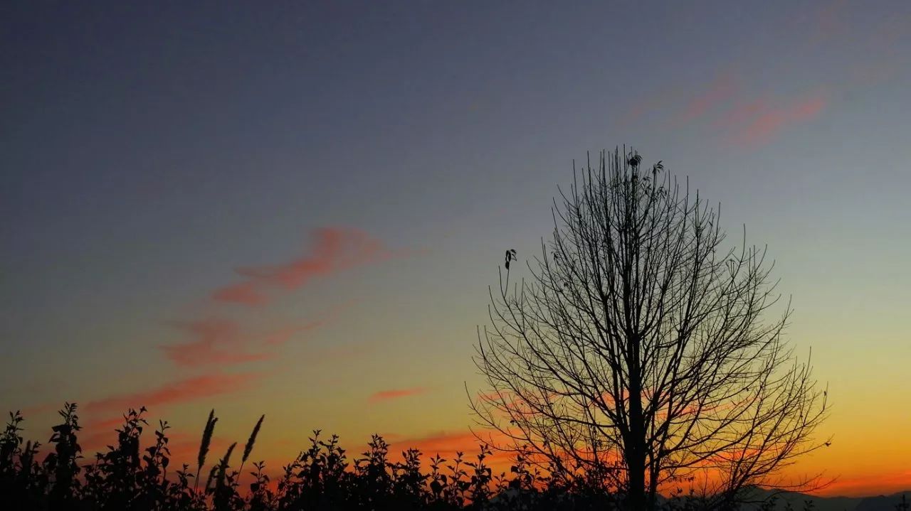 安之若宿·山，建一小屋與你晨鐘暮鼓