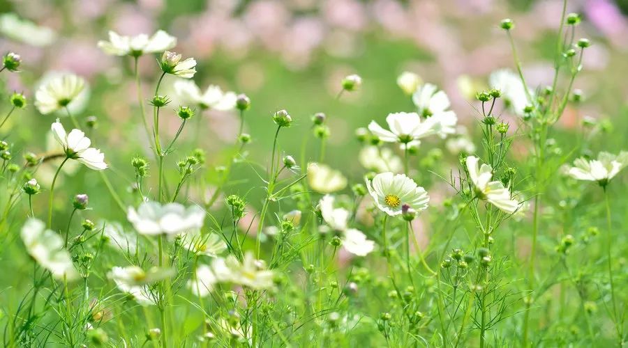 璞山云美·女兒國酒店，瀘沽湖的一場旅行！