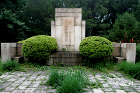 植物對墓地風(fēng)水有何影響？植物與風(fēng)水的聯(lián)系