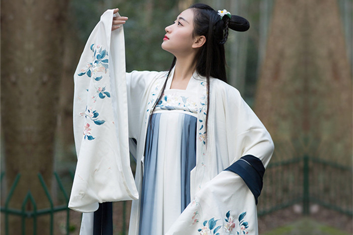 家佳樂文學傳統(tǒng)漢服女裝大袖衫繡花上衣