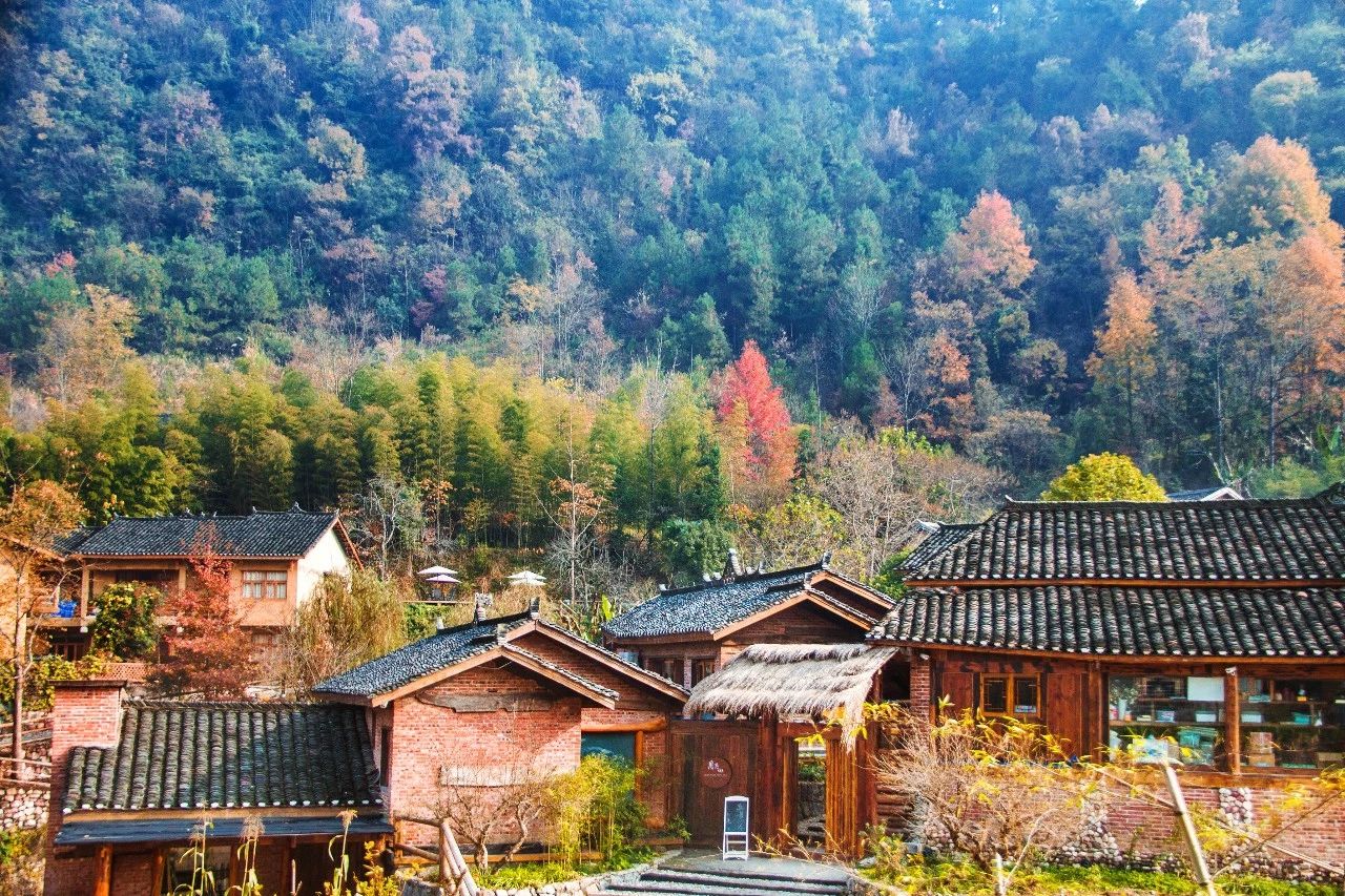 張家界·五號山谷，山谷在重生！