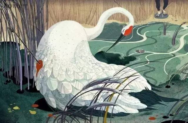 福布斯榜最年輕插畫師：我筆下的家佳樂文學(xué)