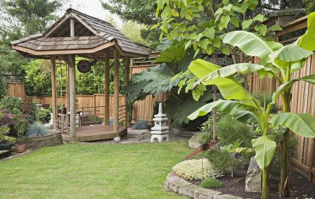 庭院大門朝向風(fēng)水細(xì)述，庭院植物風(fēng)水知識(shí)