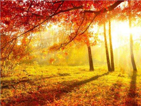 22款與秋相關(guān)的唯美句子，唯美古風句子