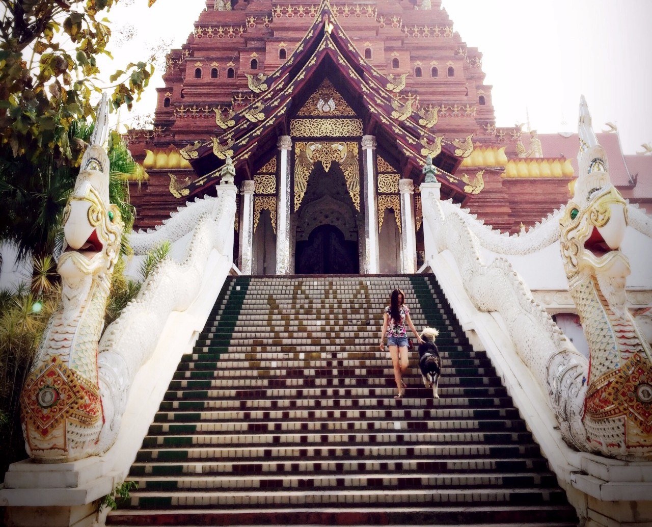 麗江束河·雲(yún)山南，相愛真的是一種奇跡