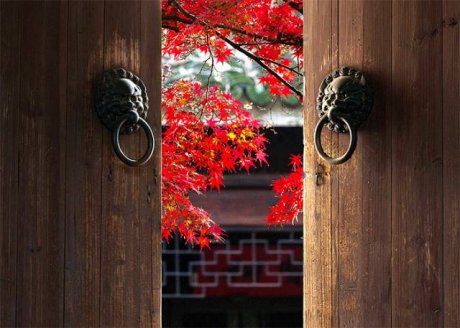 中國人在秋天的九種情調(diào)，唯美古風(fēng)句子