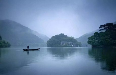 梧桐小筑，一幅靜靜舒展的水墨畫卷