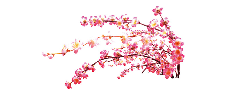 你知道如何看桃花運嗎？風(fēng)水學(xué)來教你