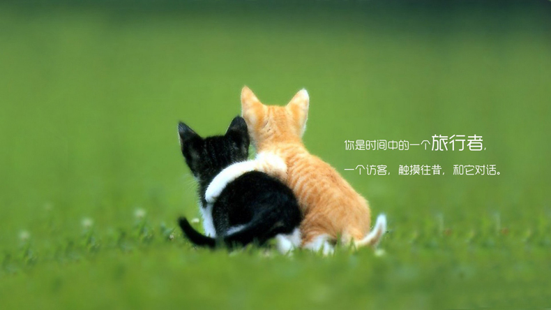 掌握這些風(fēng)水小妙招，讓你的愛情更加甜蜜