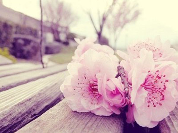 咸池桃花是什么？咸池桃花如何化解？